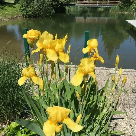 Tennis Golf Hoellrigl מלון