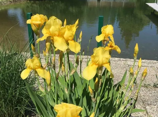 Tennis Golf Hoellrigl Hotel